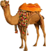 Pushkar camel Fair